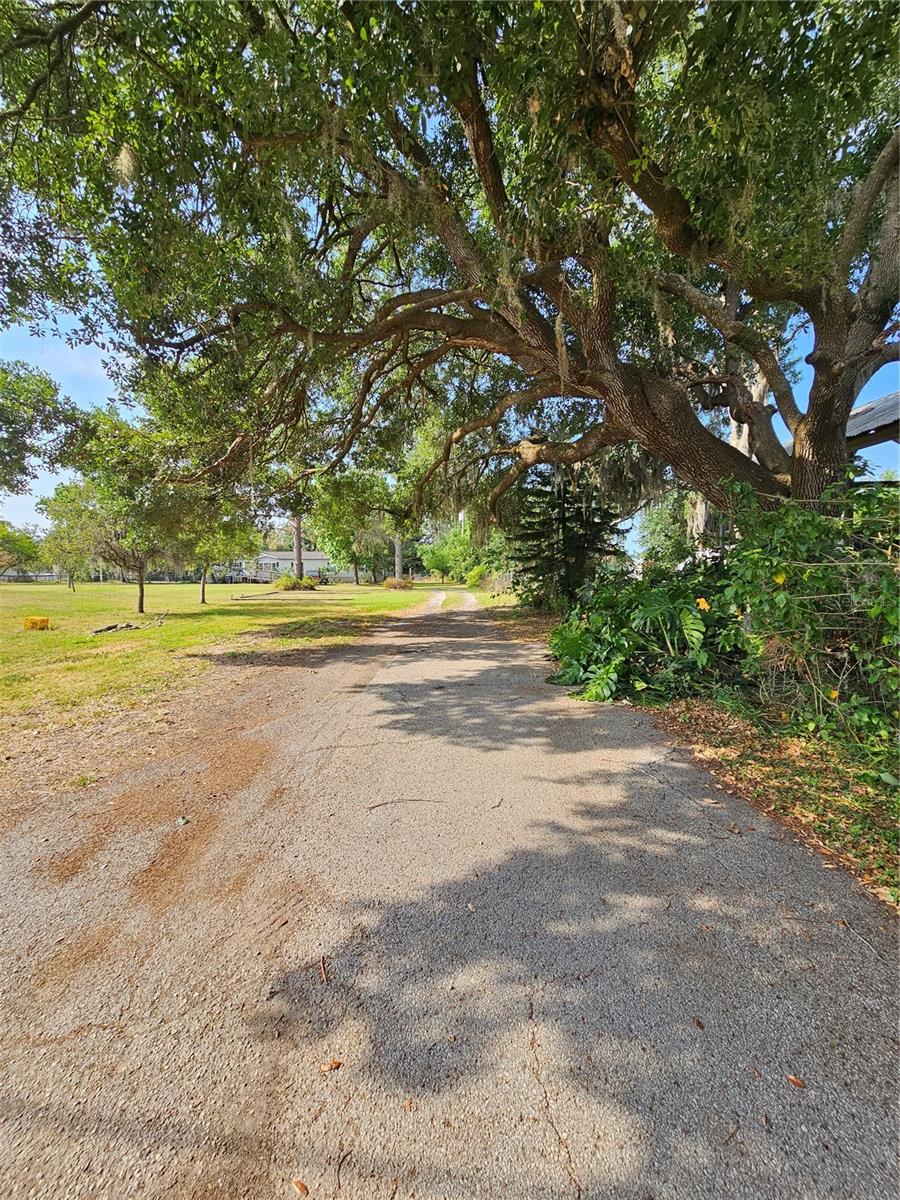 4609 MILEY RD, PLANT CITY, FL, 33565