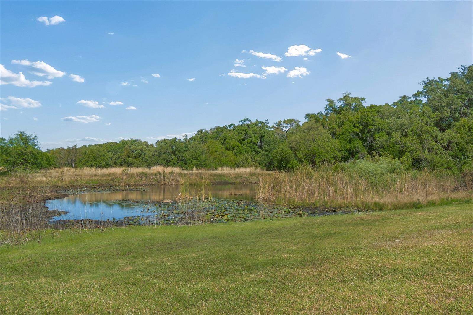 9035 SHARON DR, NEW PORT RICHEY, FL, 34654
