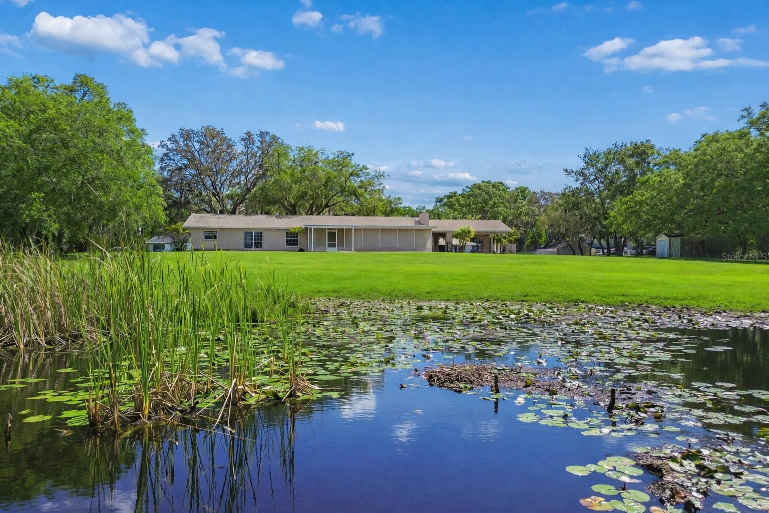 9035 SHARON DR, NEW PORT RICHEY, FL, 34654