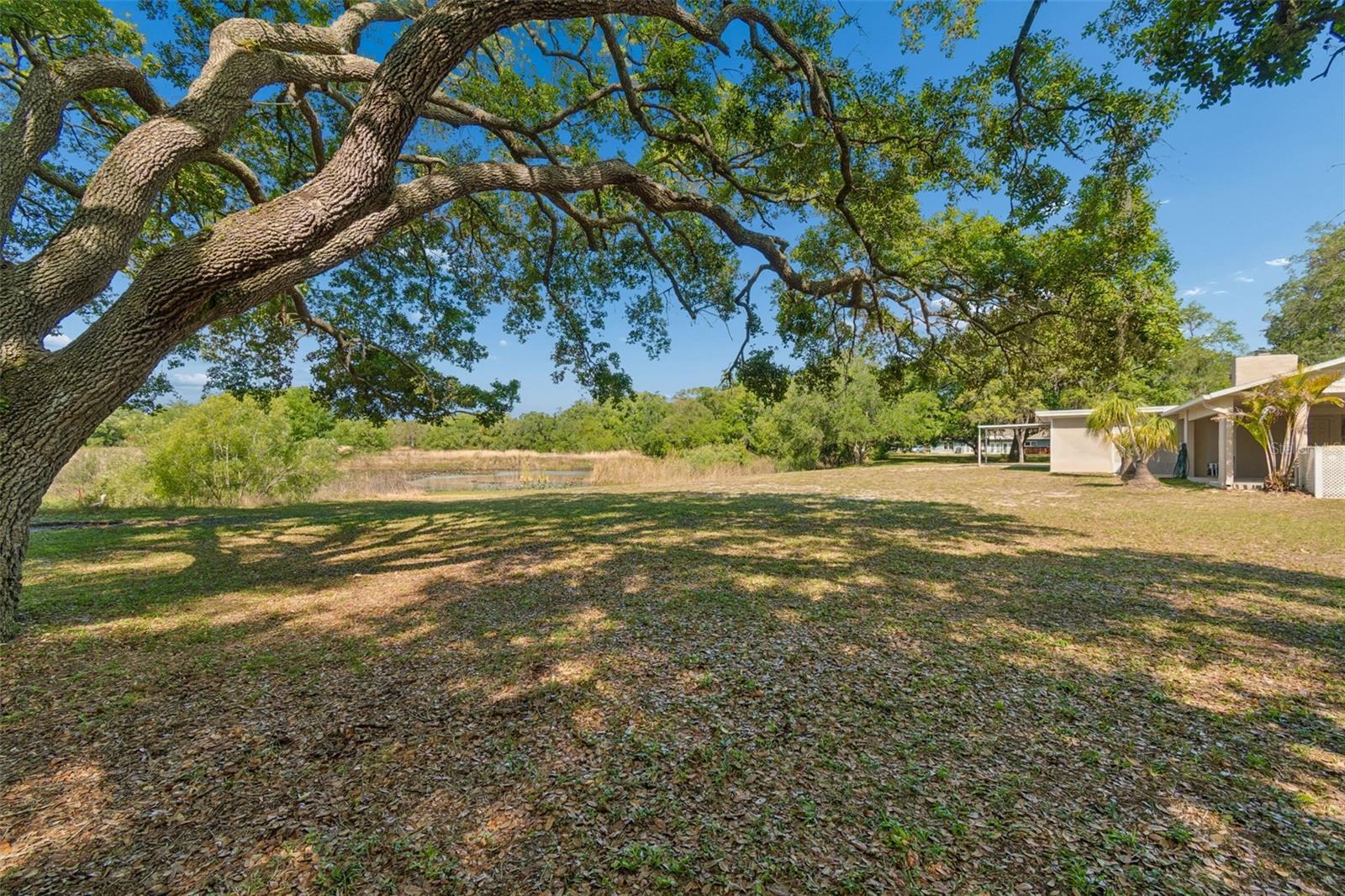 9035 SHARON DR, NEW PORT RICHEY, FL, 34654