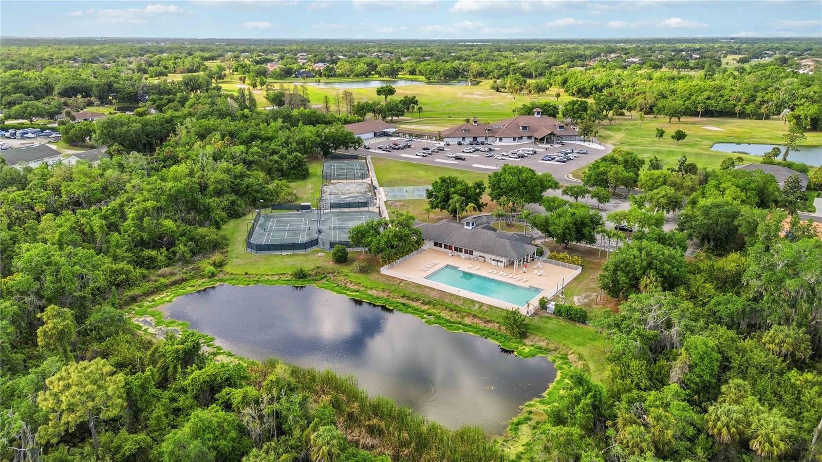 3011 WOODLAND FERN DR, PARRISH, FL, 34219