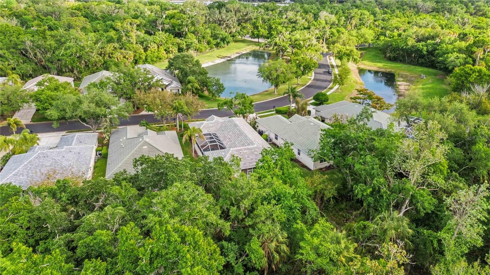 3011 WOODLAND FERN DR, PARRISH, FL, 34219