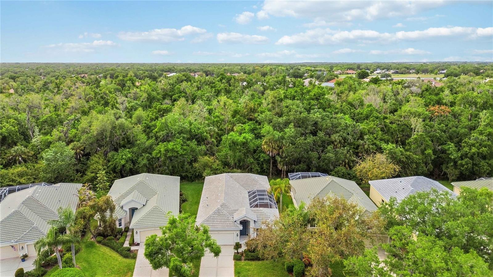 3011 WOODLAND FERN DR, PARRISH, FL, 34219