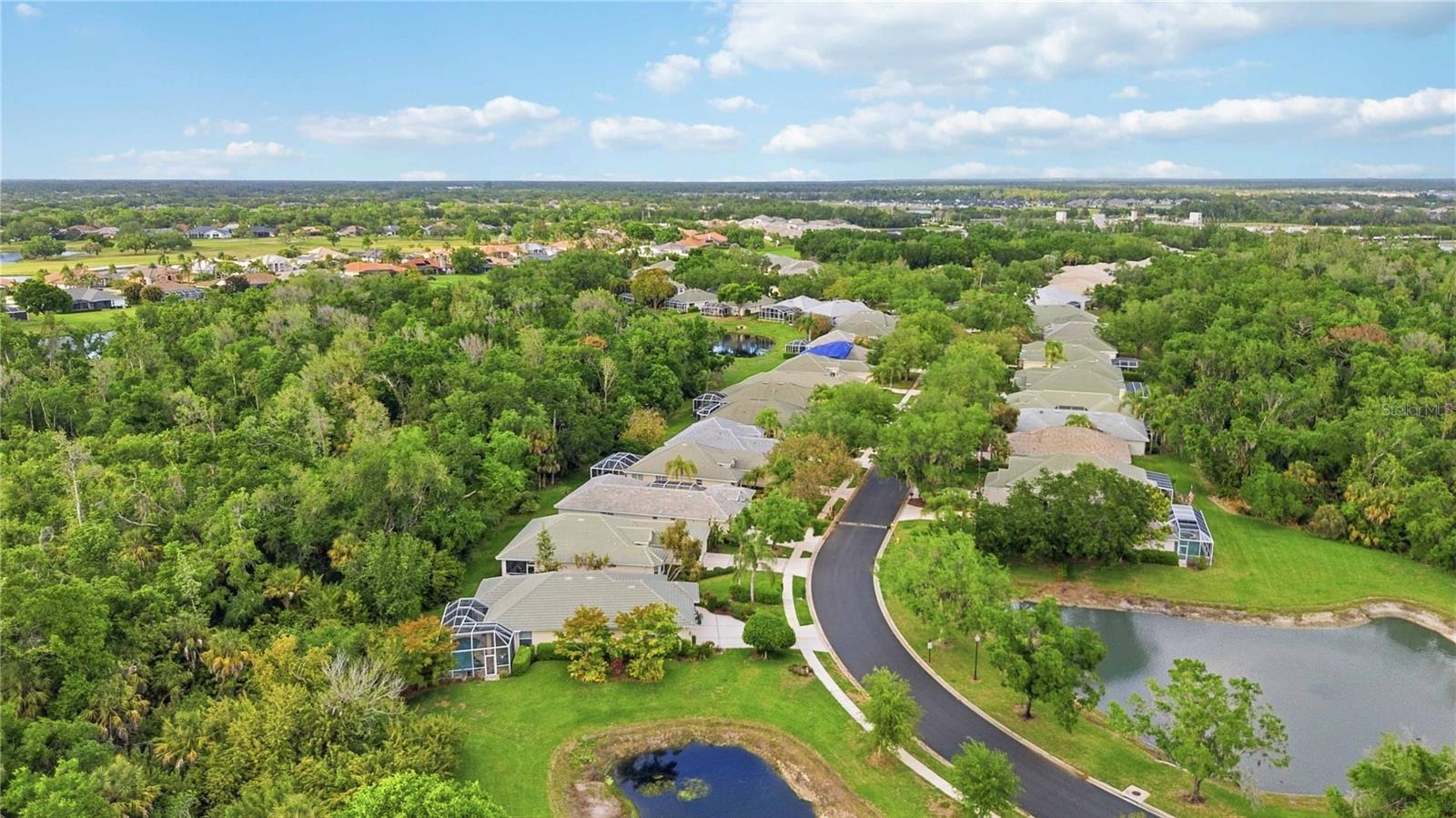 3011 WOODLAND FERN DR, PARRISH, FL, 34219