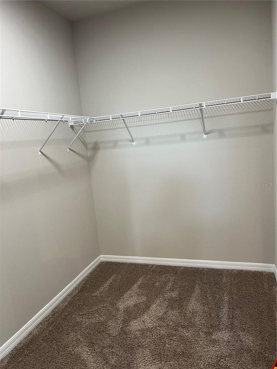 2321 MYSTIC MAZE LN, MINNEOLA, FL, 34715