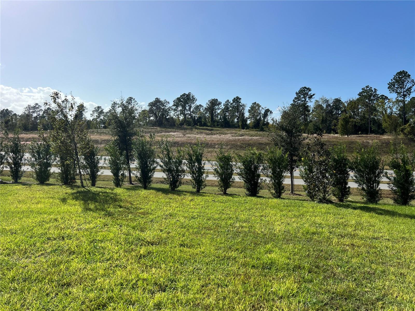 2321 MYSTIC MAZE LN, MINNEOLA, FL, 34715