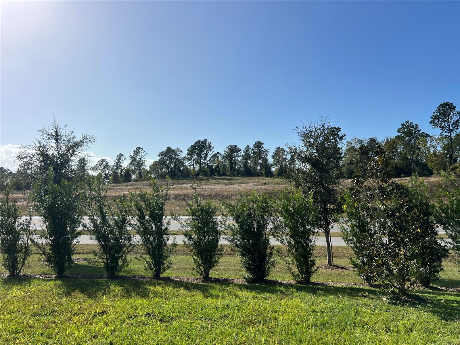 2321 MYSTIC MAZE LN, MINNEOLA, FL, 34715