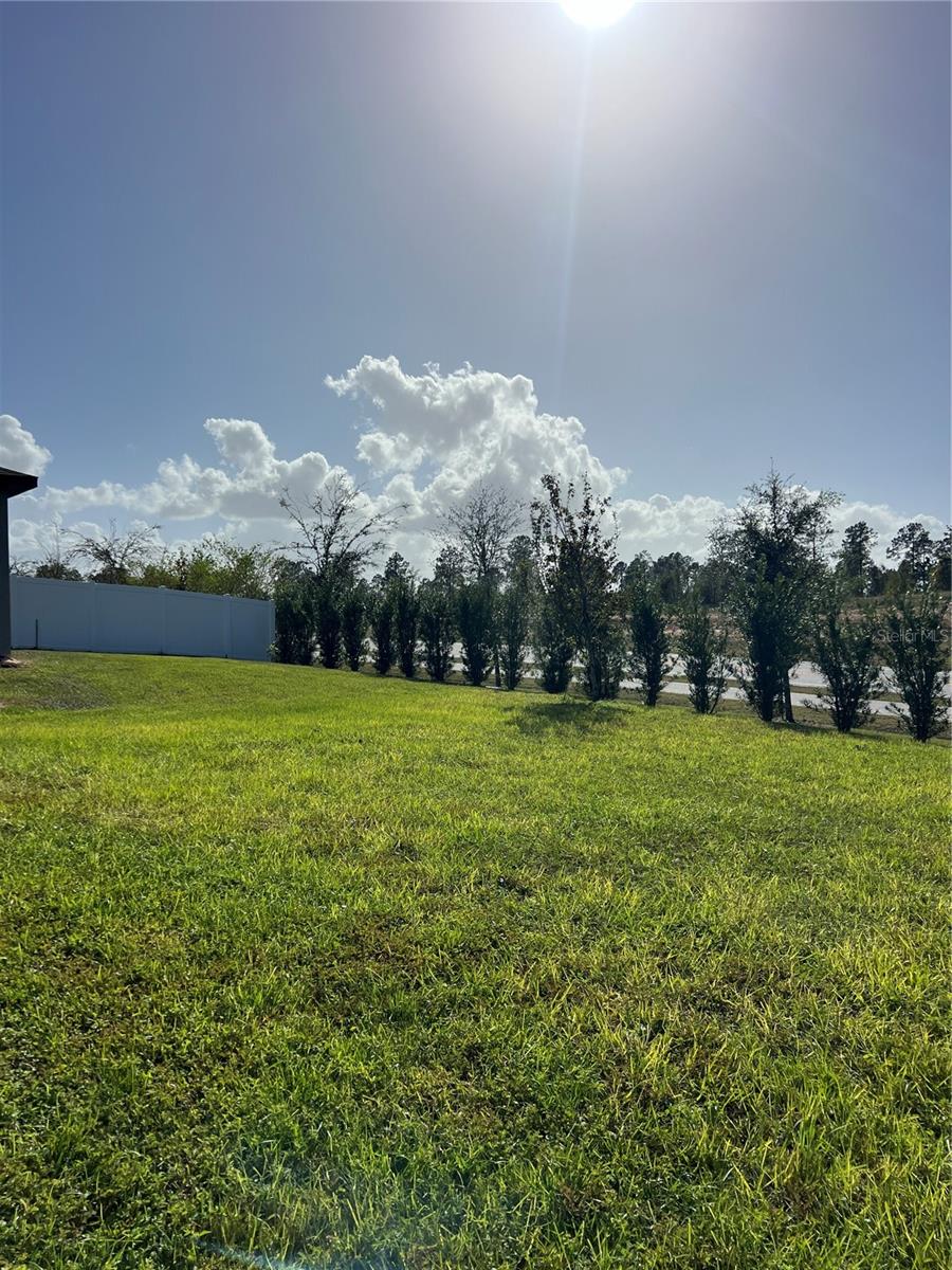 2321 MYSTIC MAZE LN, MINNEOLA, FL, 34715