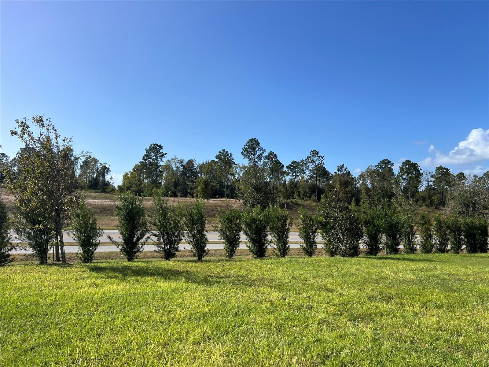 2321 MYSTIC MAZE LN, MINNEOLA, FL, 34715