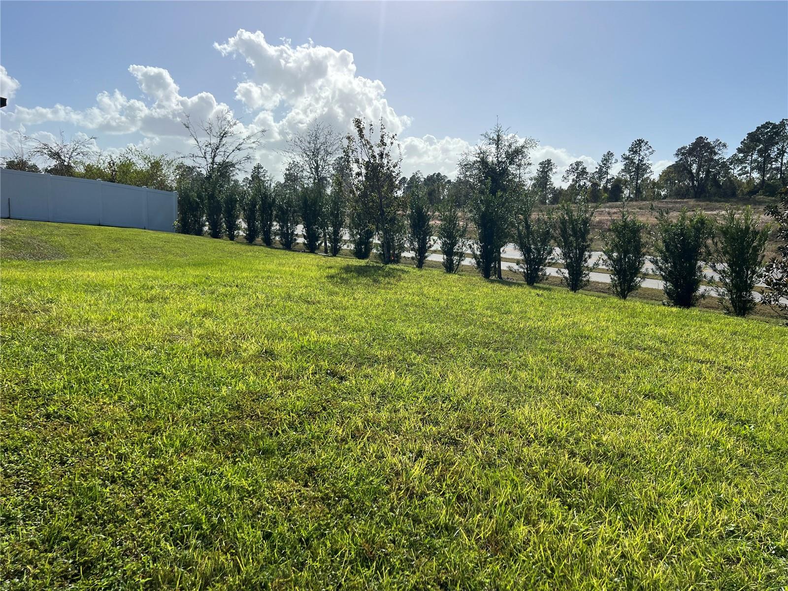 2321 MYSTIC MAZE LN, MINNEOLA, FL, 34715