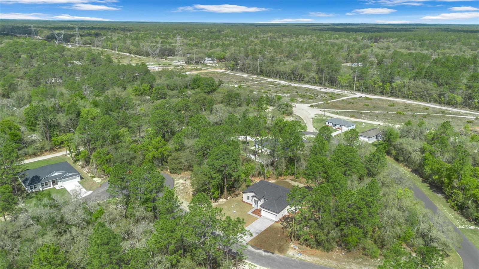 6991 SW 151ST LOOP, OCALA, FL, 34473