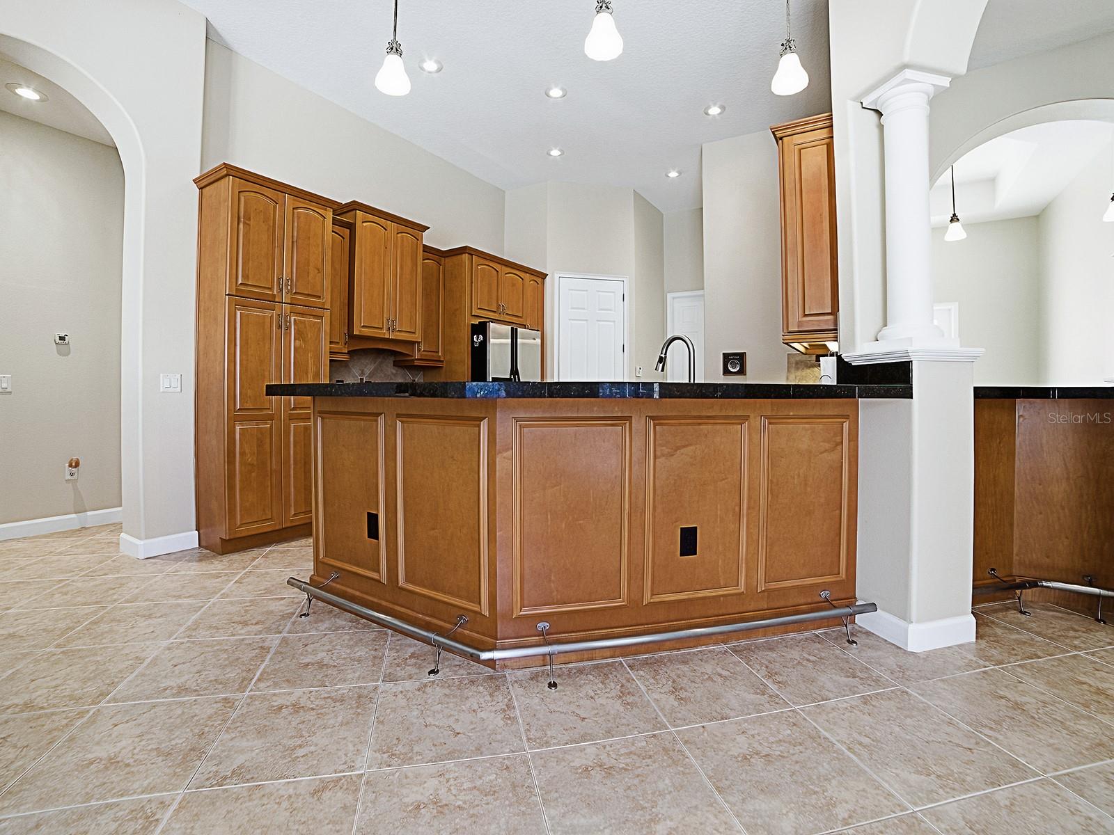 9926 SANTA BARBARA CT, HOWEY IN THE HILLS, FL, 34737
