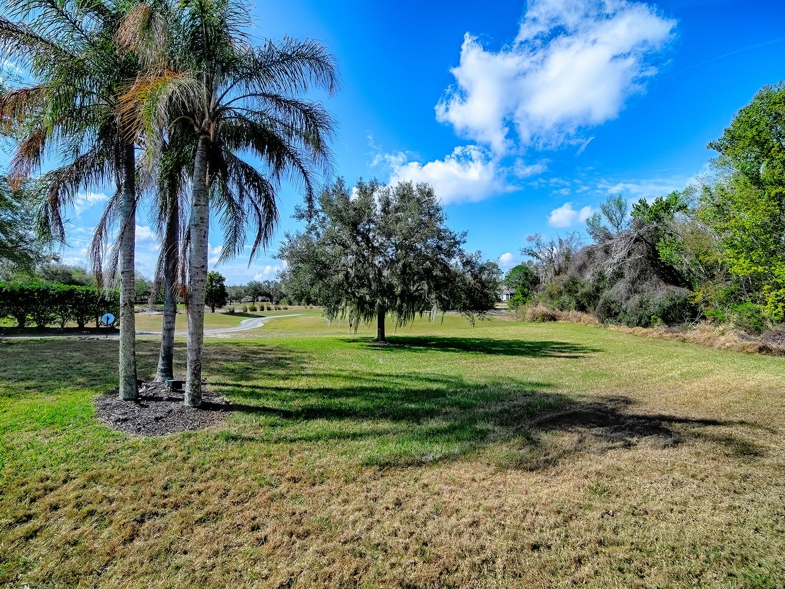 9926 SANTA BARBARA CT, HOWEY IN THE HILLS, FL, 34737
