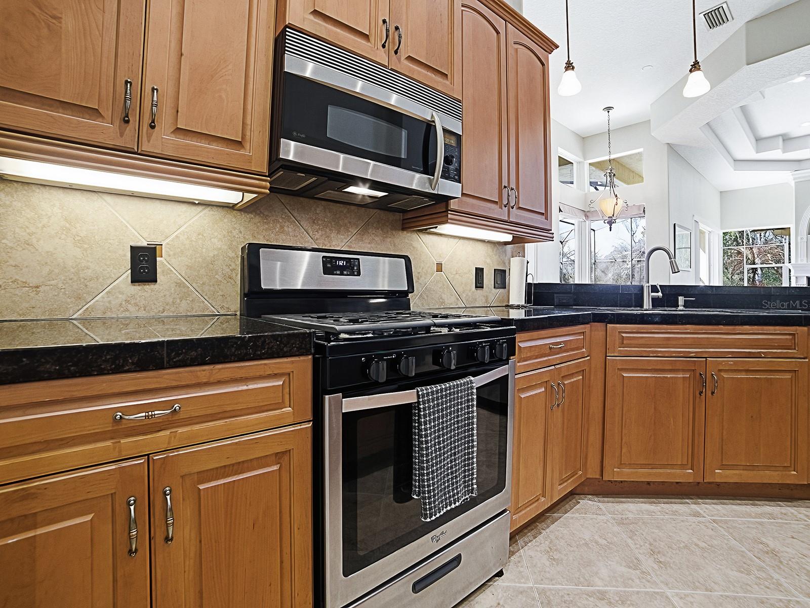 9926 SANTA BARBARA CT, HOWEY IN THE HILLS, FL, 34737