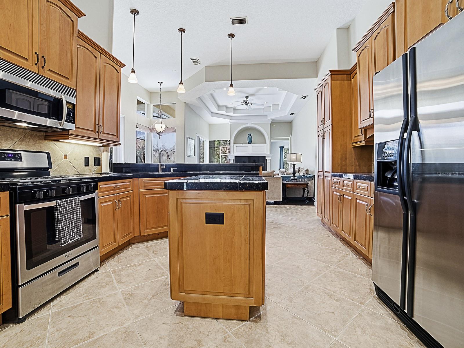 9926 SANTA BARBARA CT, HOWEY IN THE HILLS, FL, 34737