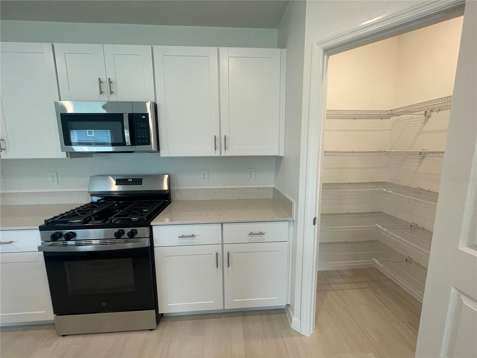 9645 CARABINER WAY, LAND O LAKES, FL, 34637