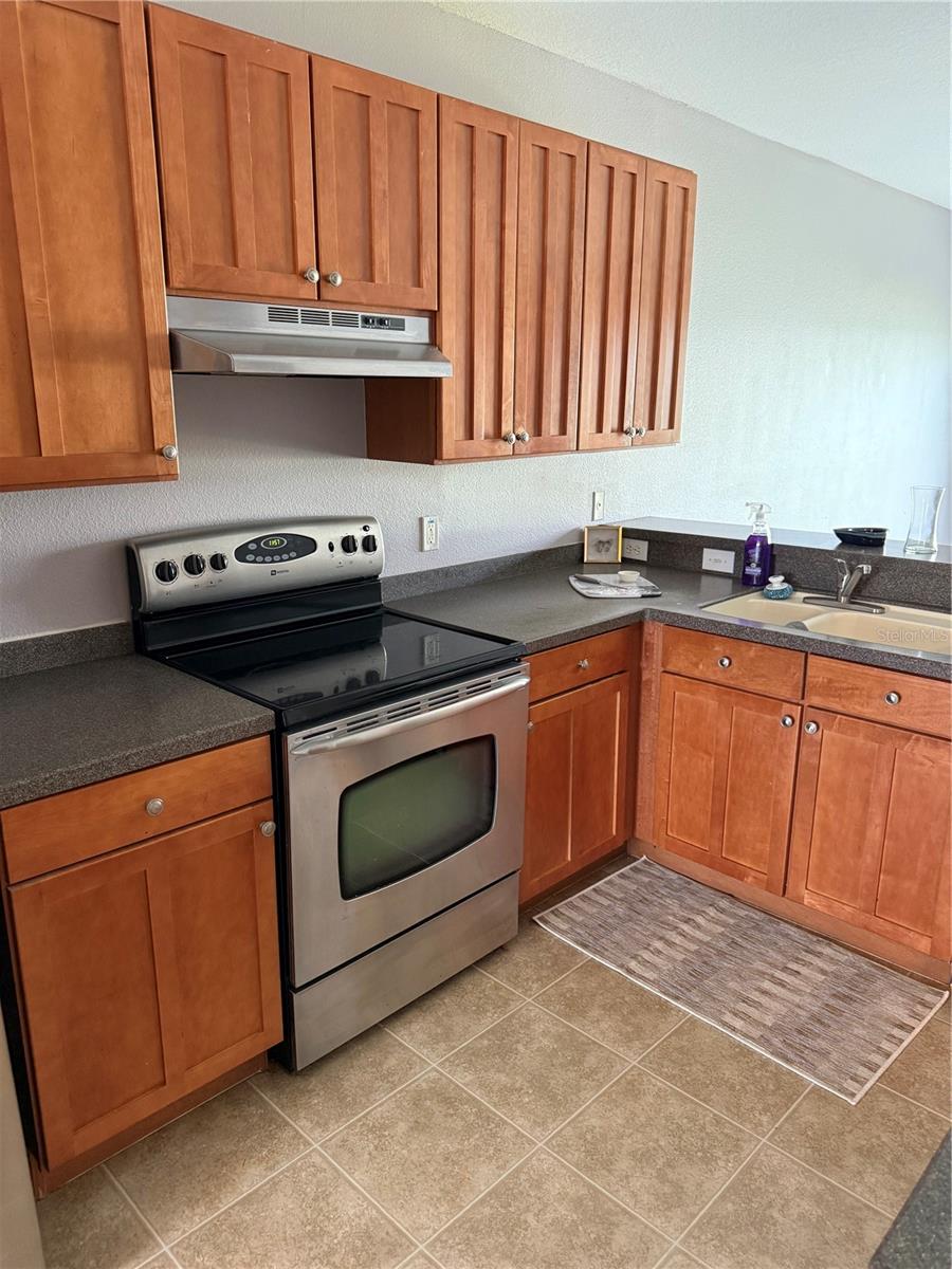 16344 SWAN VIEW CIR, ODESSA, FL, 33556