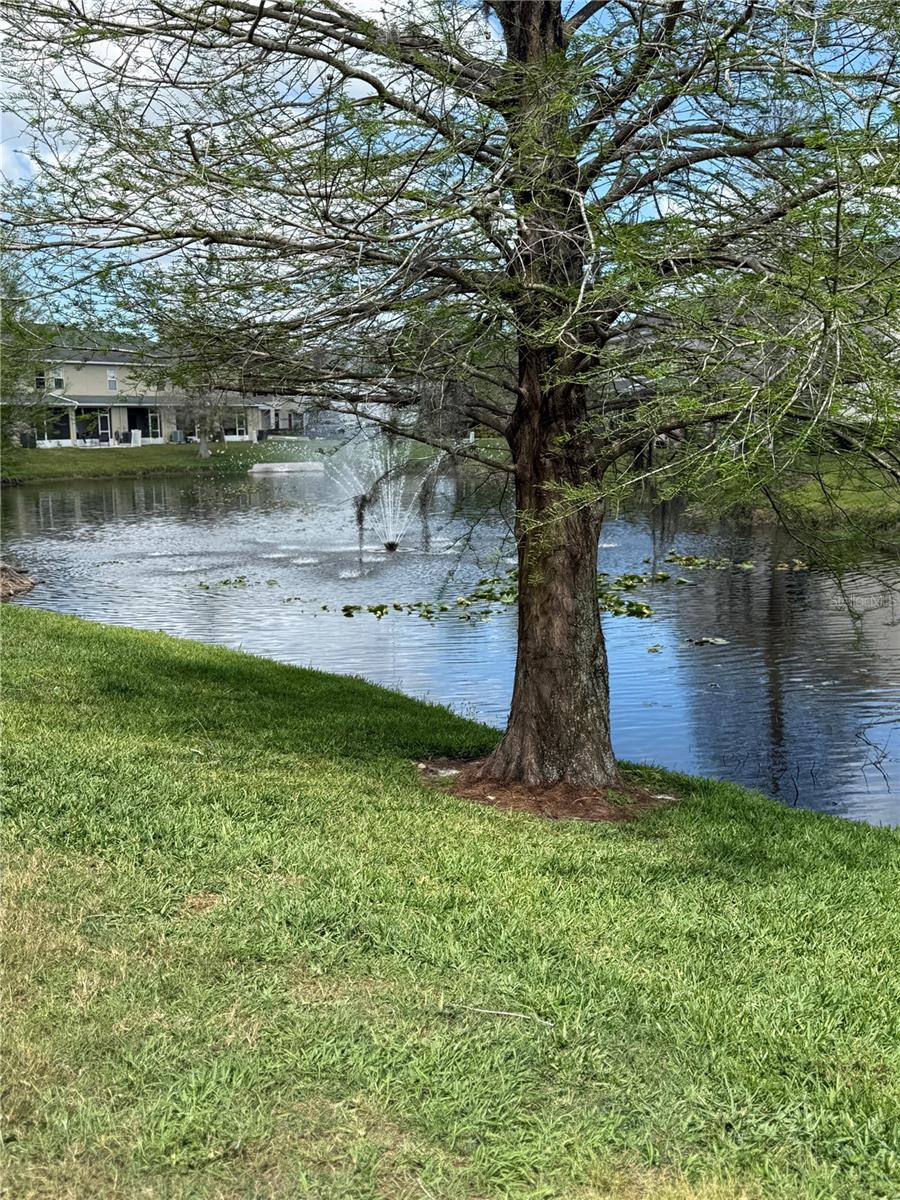 16344 SWAN VIEW CIR, ODESSA, FL, 33556