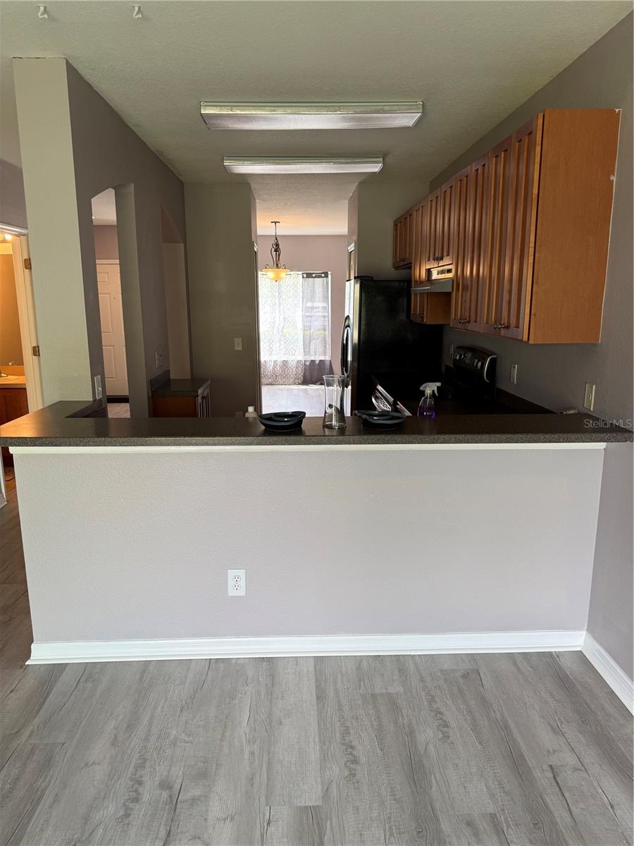 16344 SWAN VIEW CIR, ODESSA, FL, 33556