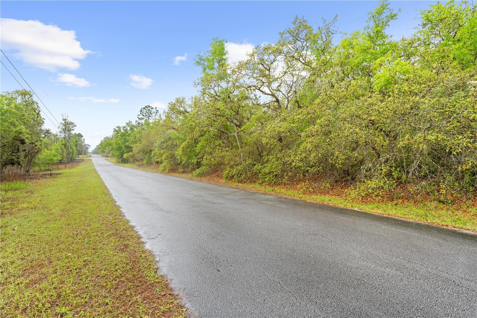 SW 206TH AVE, DUNNELLON, FL, 34431