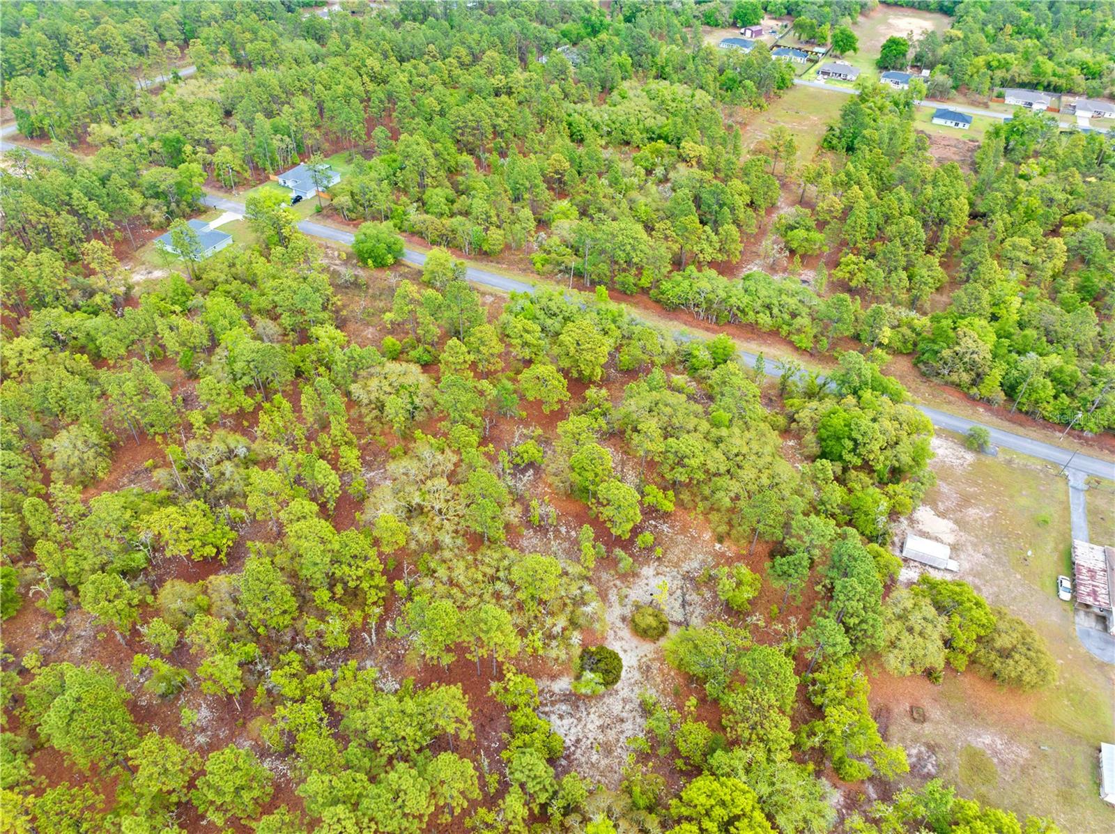 SW 206TH AVE, DUNNELLON, FL, 34431