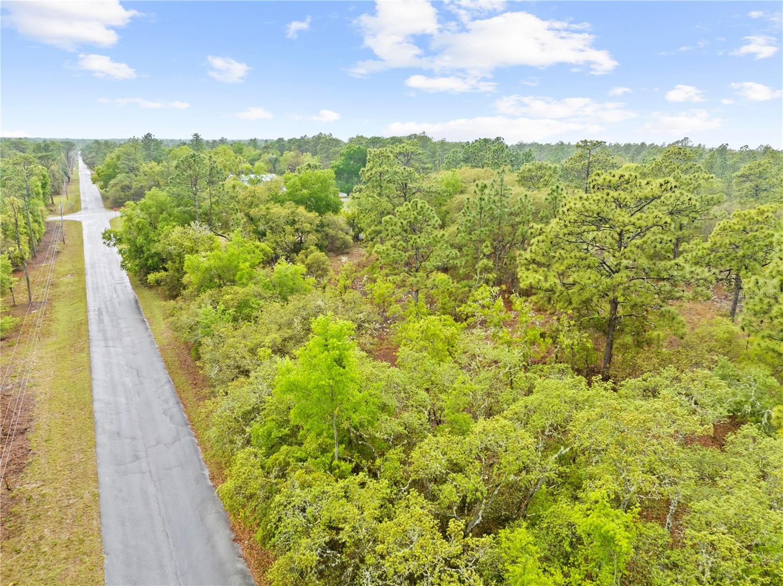 SW 206TH AVE, DUNNELLON, FL, 34431