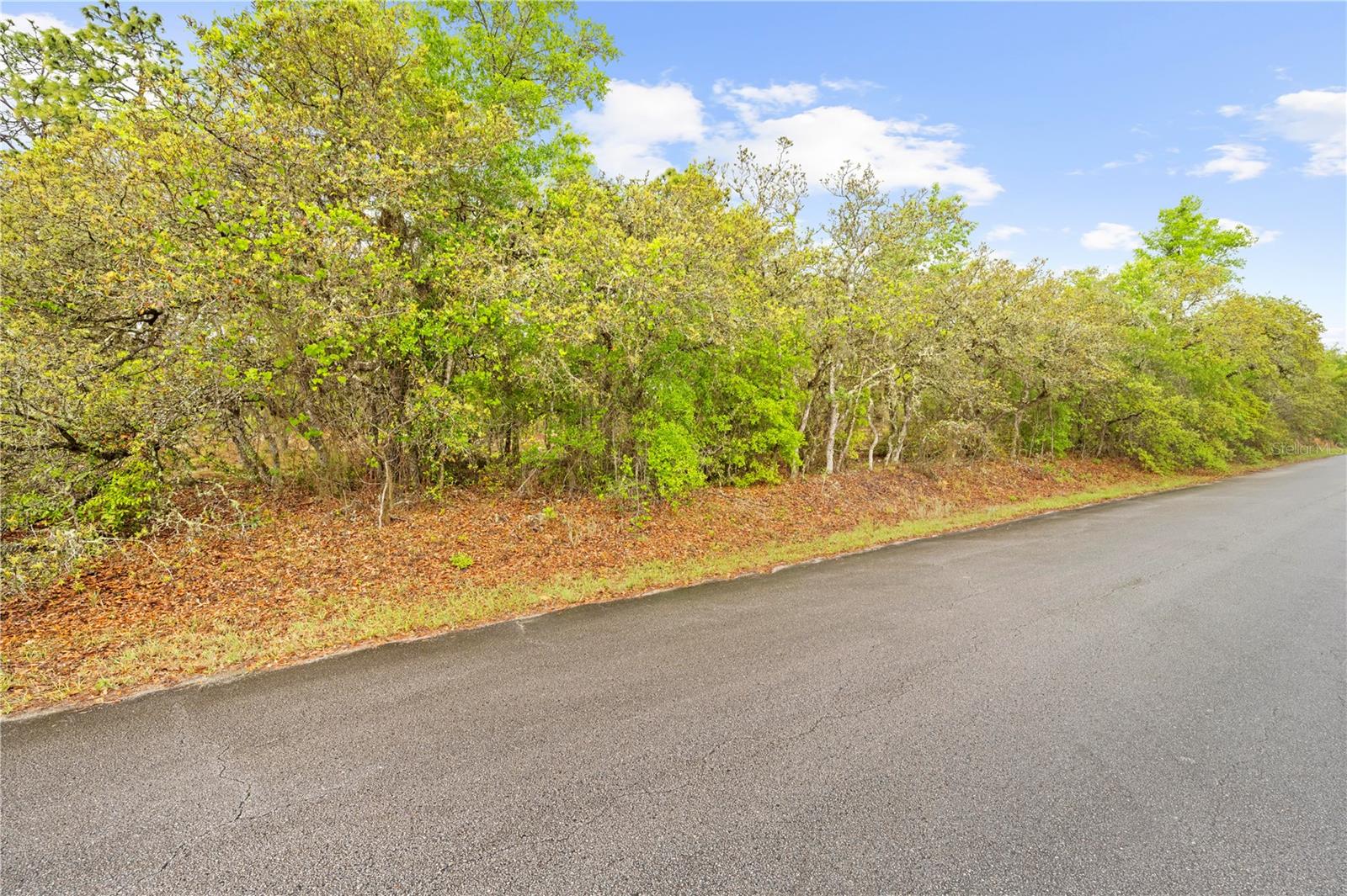 SW 206TH AVE, DUNNELLON, FL, 34431