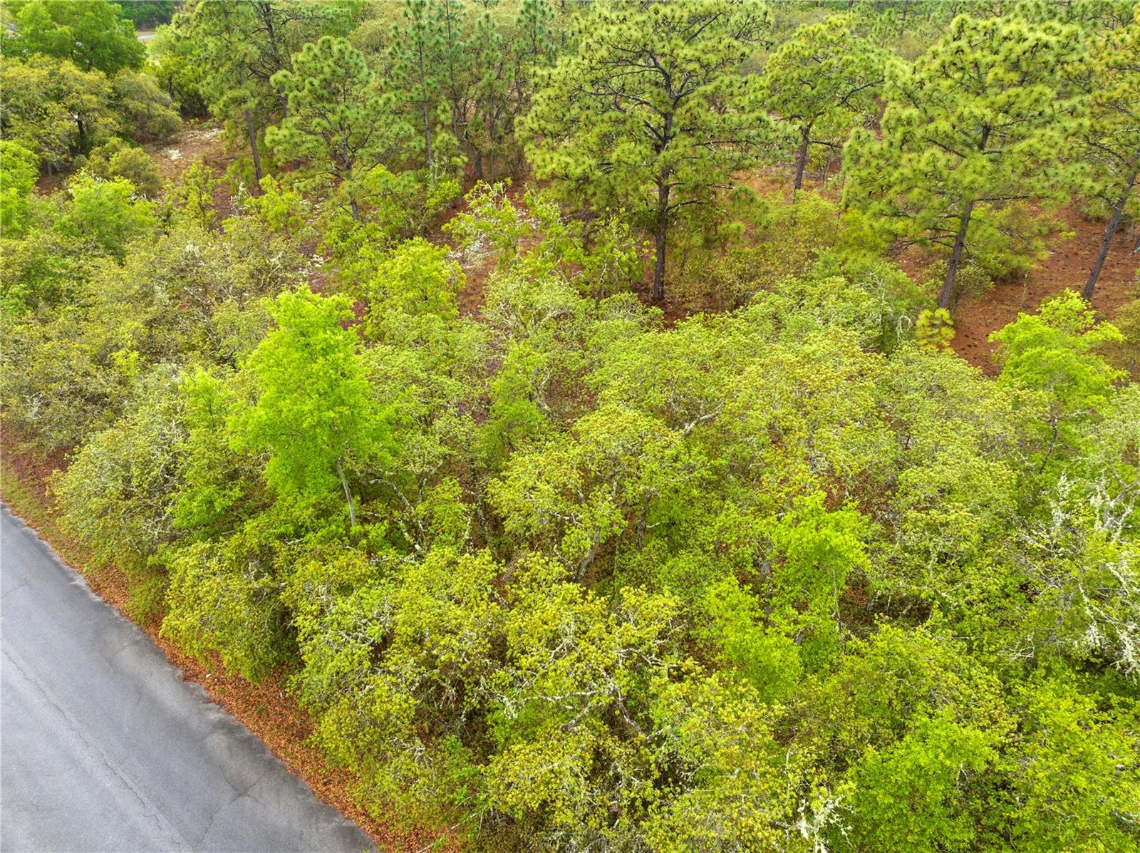 SW 206TH AVE, DUNNELLON, FL, 34431