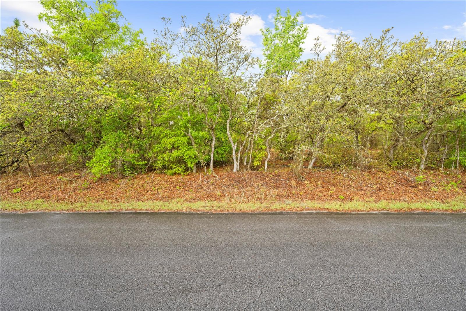 SW 206TH AVE, DUNNELLON, FL, 34431