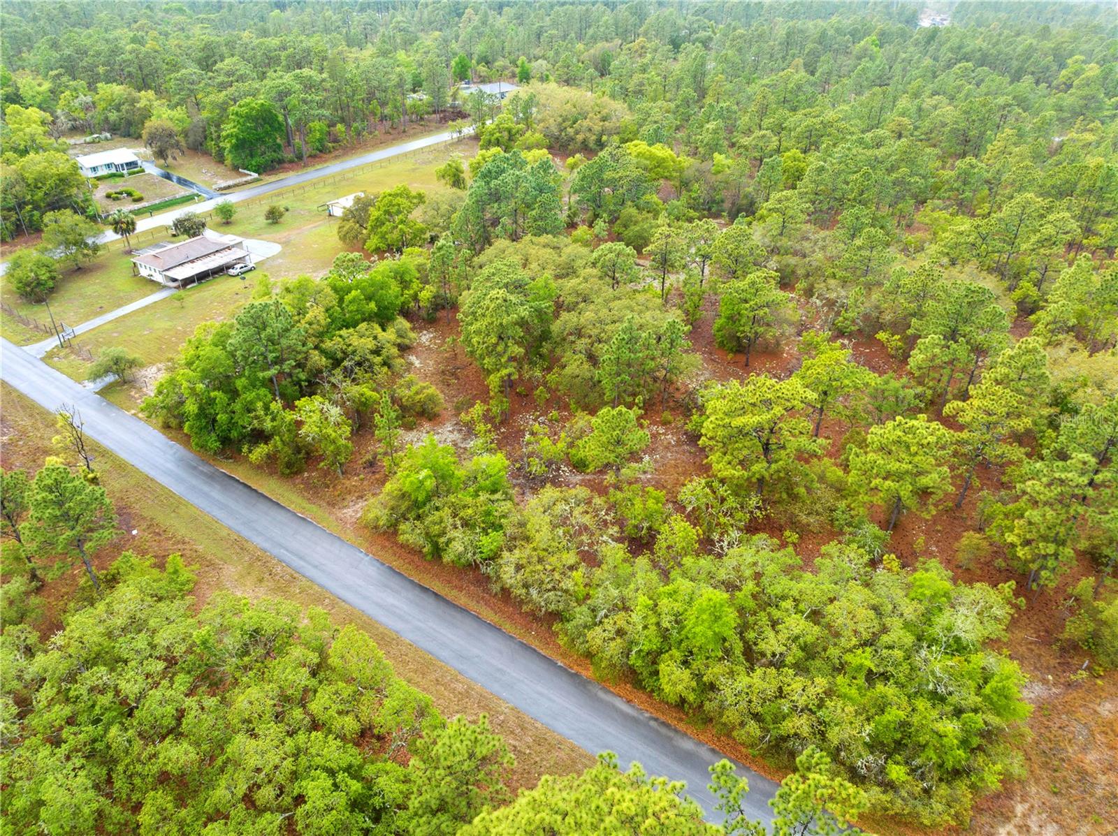 SW 206TH AVE, DUNNELLON, FL, 34431