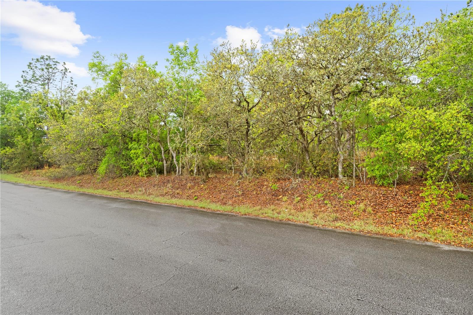 SW 206TH AVE, DUNNELLON, FL, 34431