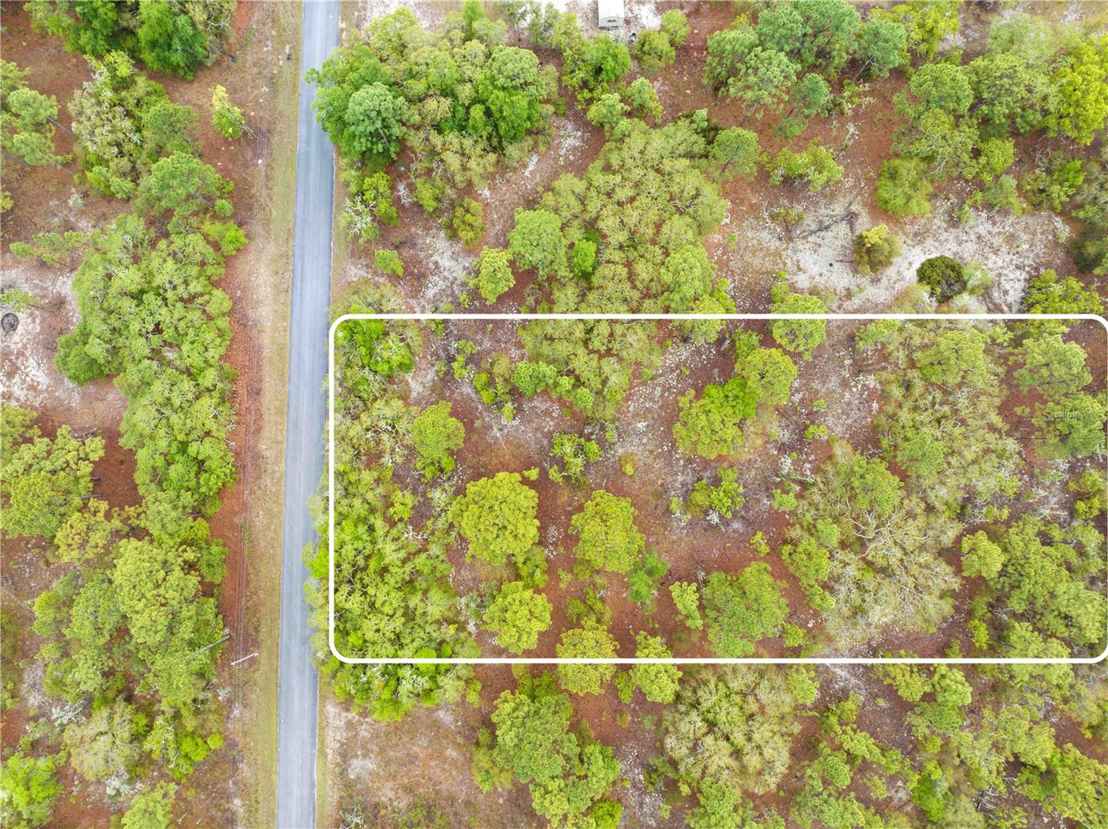 SW 206TH AVE, DUNNELLON, FL, 34431