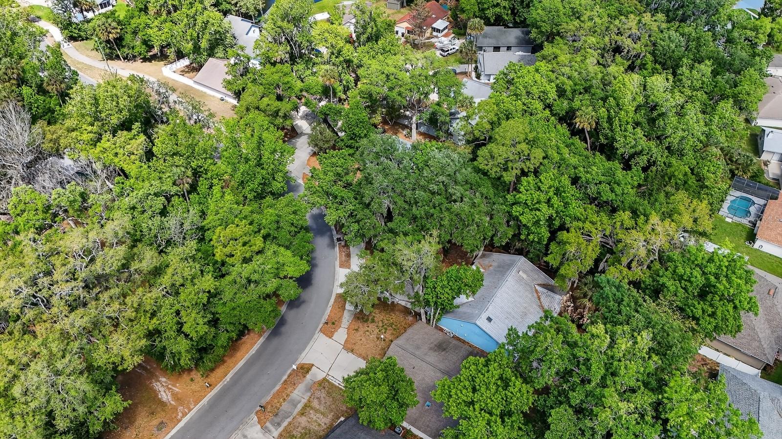 3639 OLD HAMMOCK RD, PORT ORANGE, FL, 32129