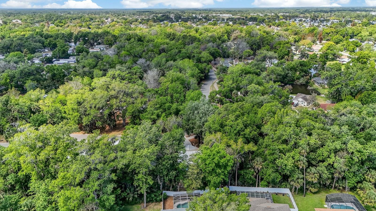 3639 OLD HAMMOCK RD, PORT ORANGE, FL, 32129