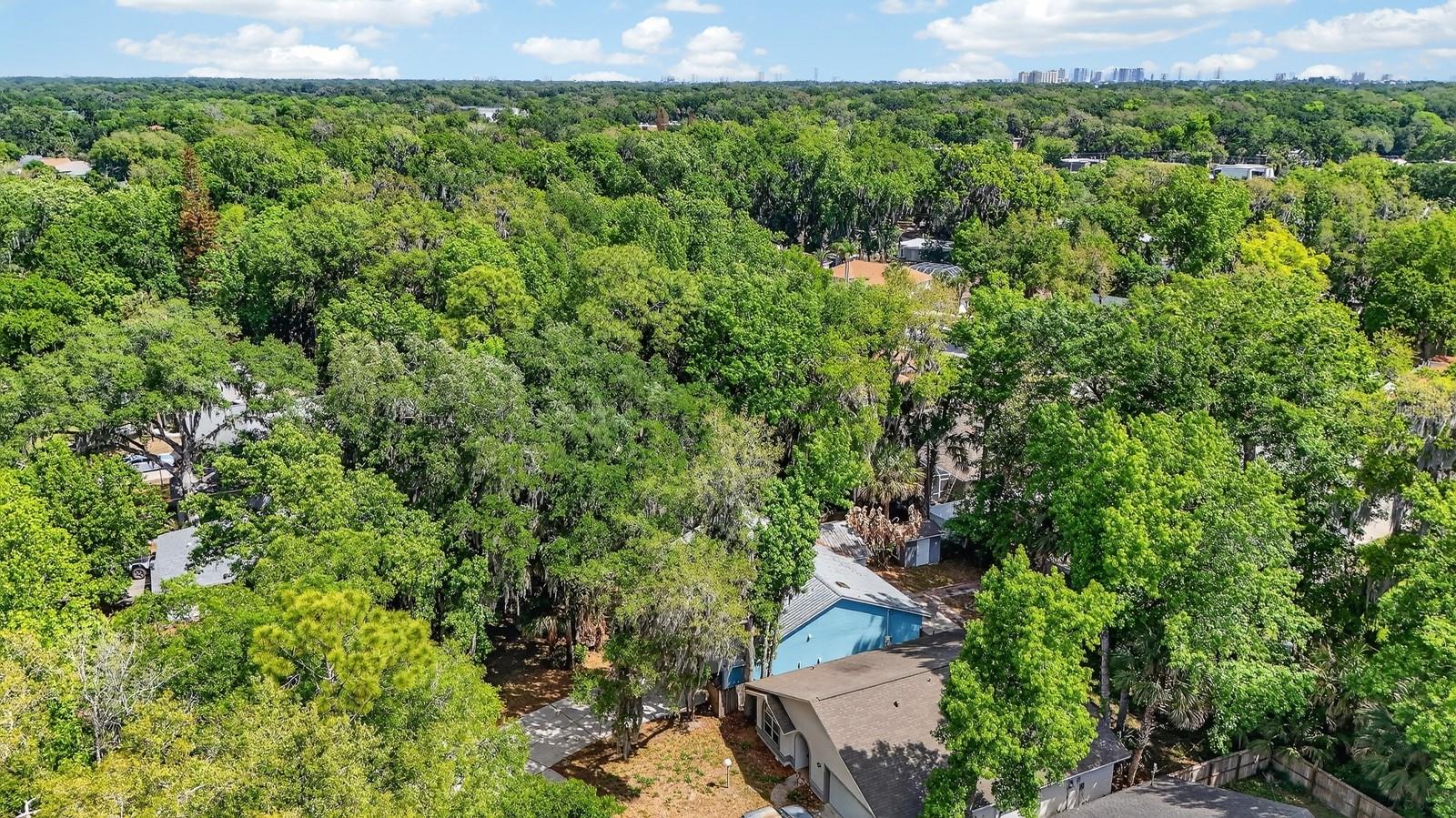 3639 OLD HAMMOCK RD, PORT ORANGE, FL, 32129
