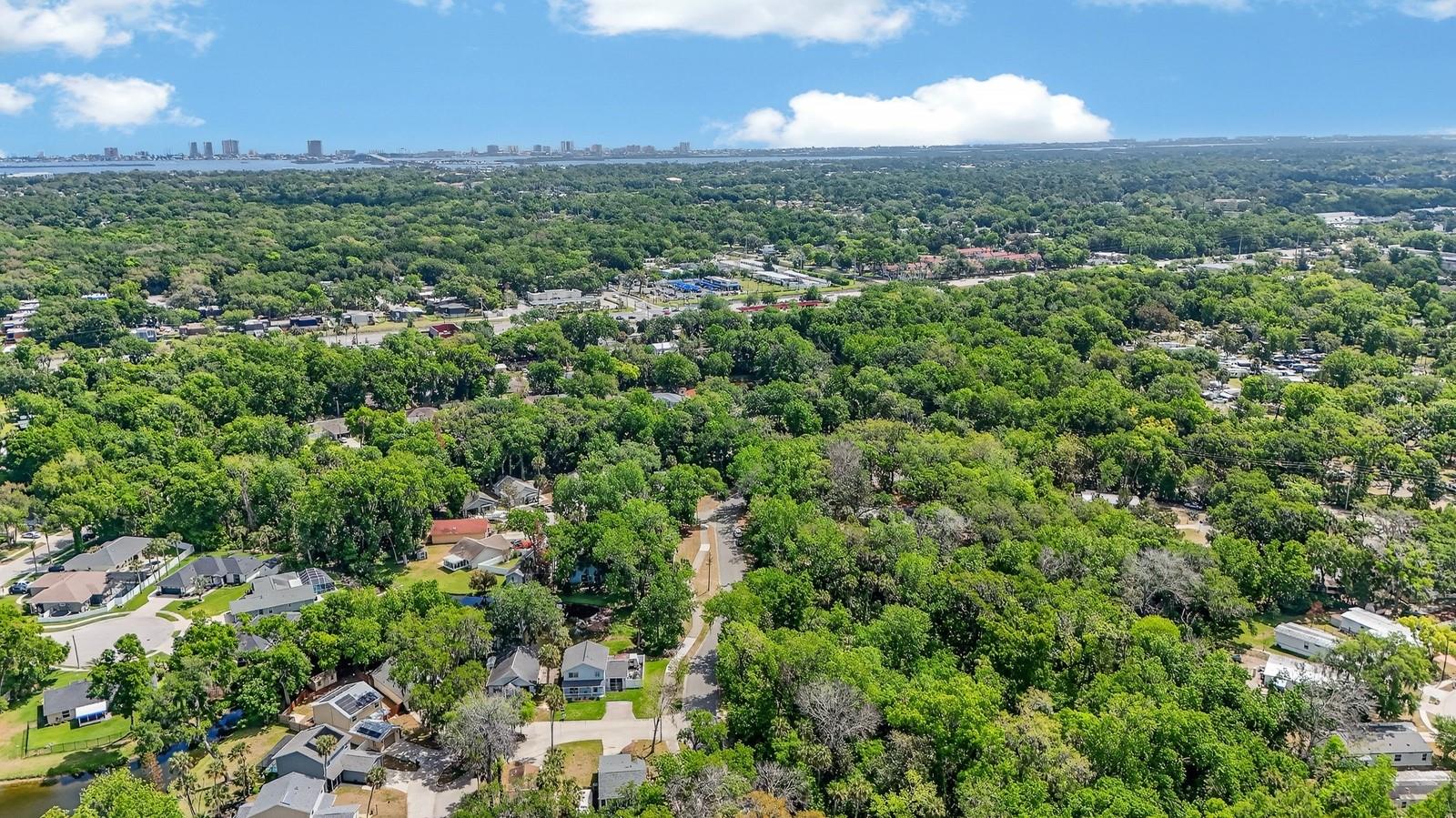 3639 OLD HAMMOCK RD, PORT ORANGE, FL, 32129