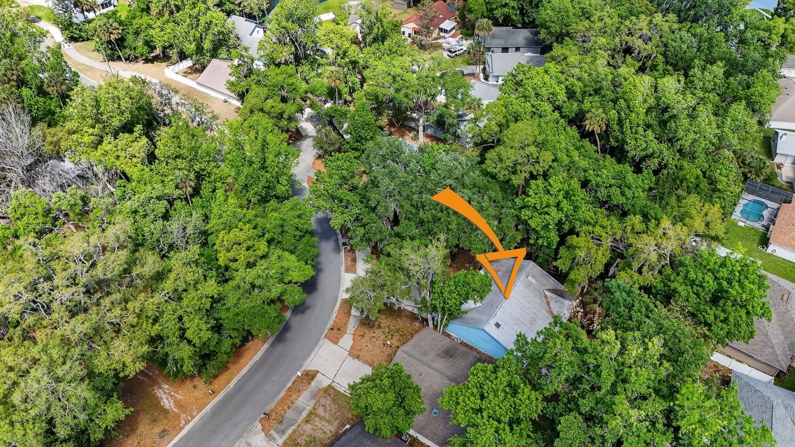 3639 OLD HAMMOCK RD, PORT ORANGE, FL, 32129