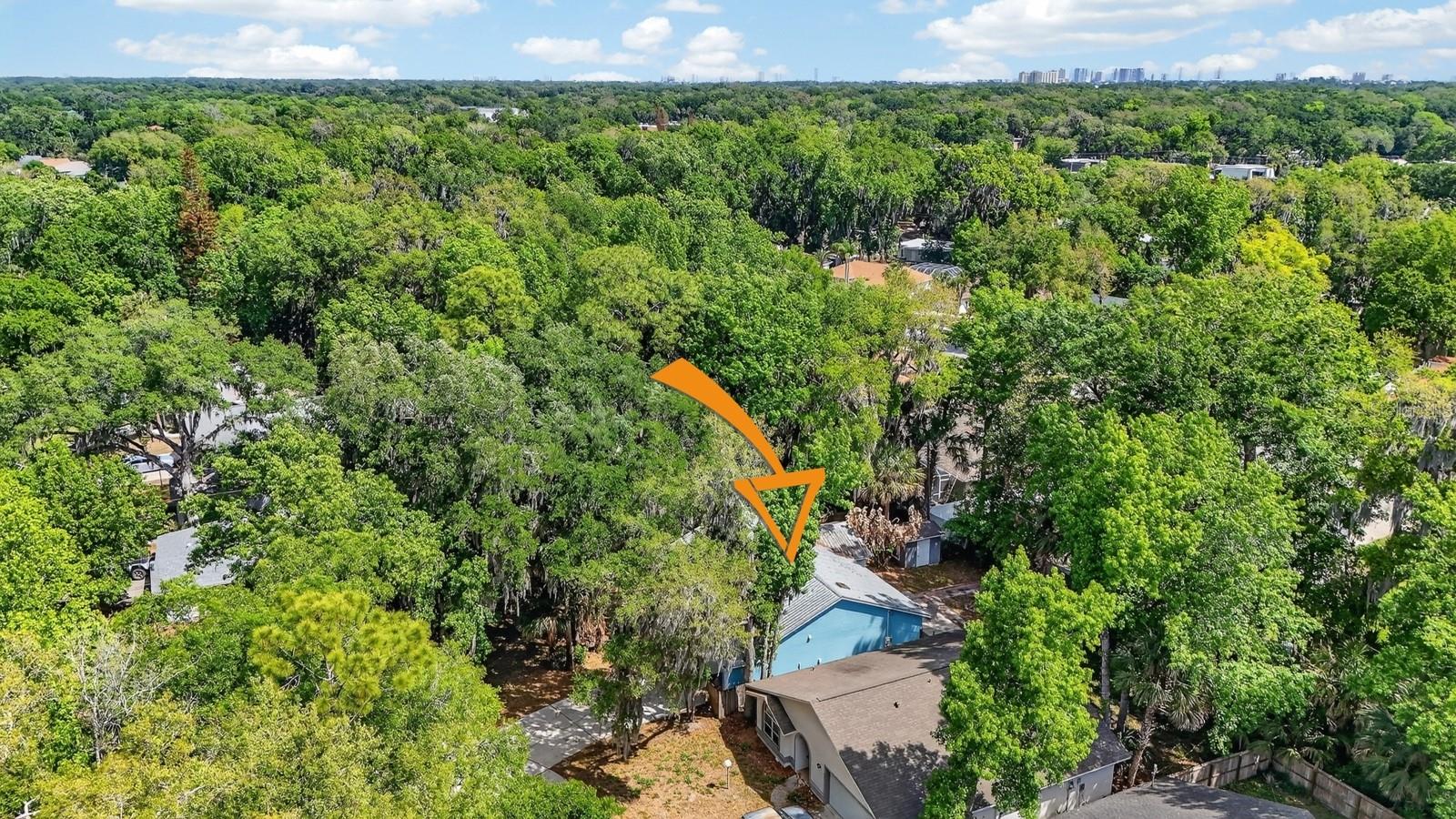 3639 OLD HAMMOCK RD, PORT ORANGE, FL, 32129