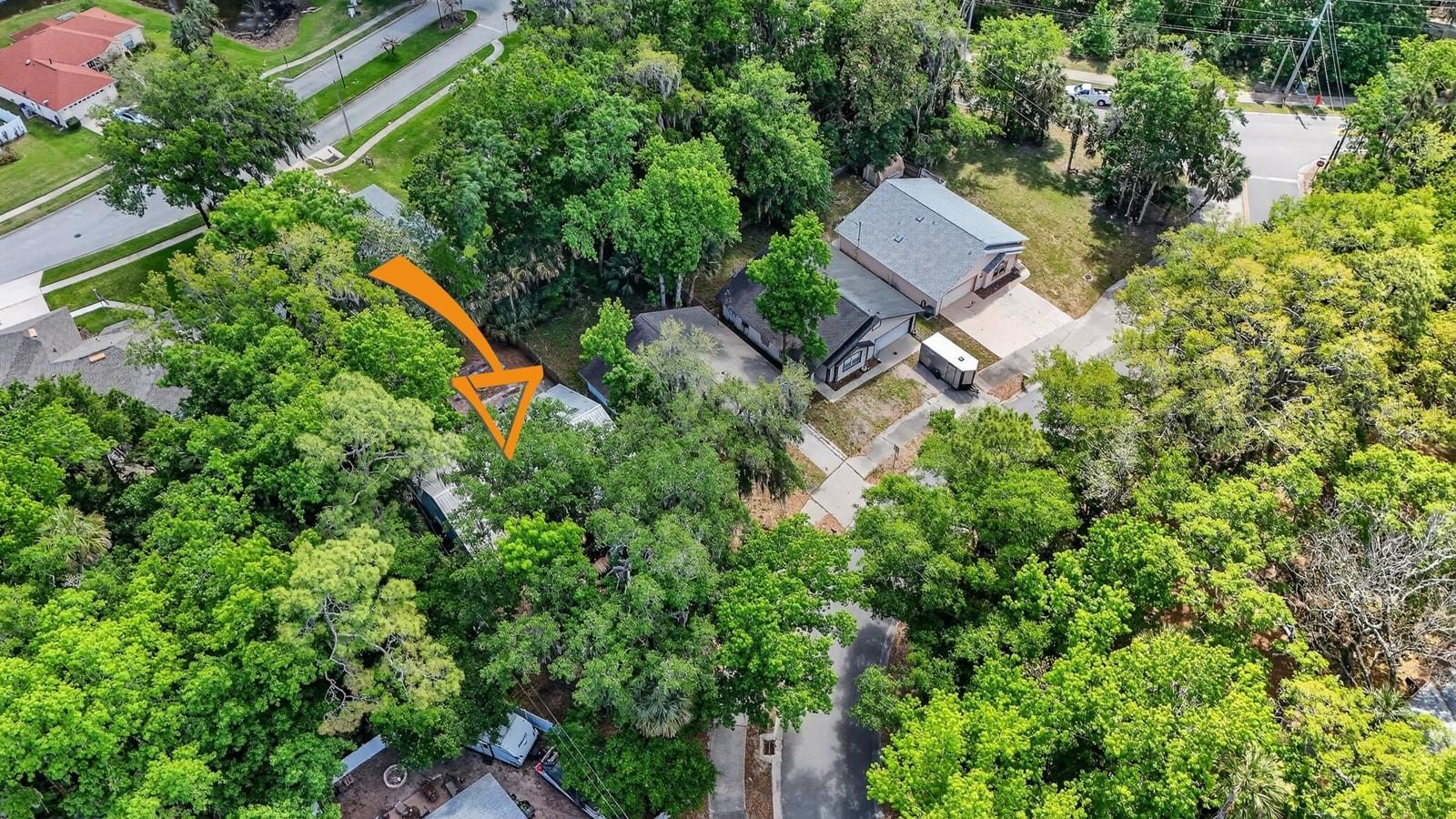 3639 OLD HAMMOCK RD, PORT ORANGE, FL, 32129