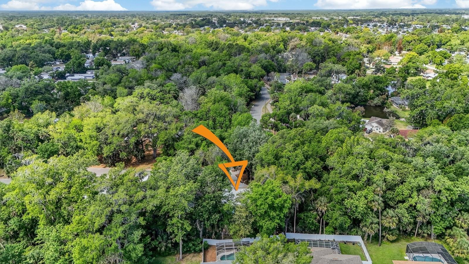 3639 OLD HAMMOCK RD, PORT ORANGE, FL, 32129