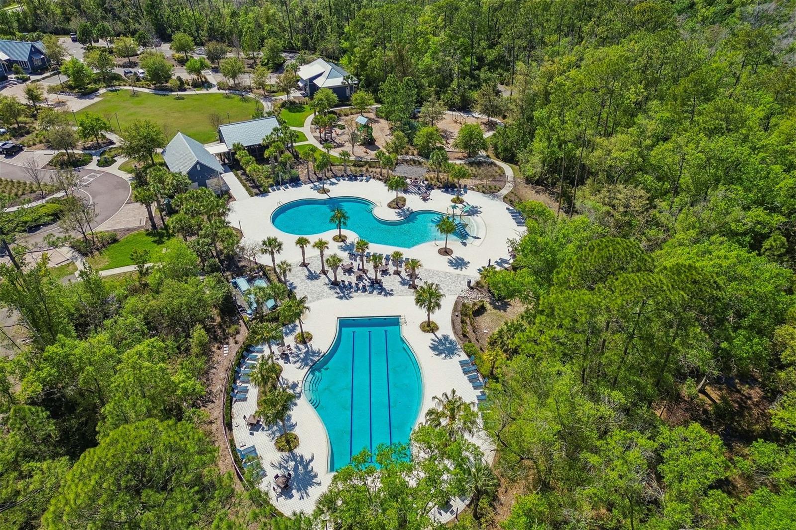 4241 AMPED WAY, LAND O LAKES, FL, 34638