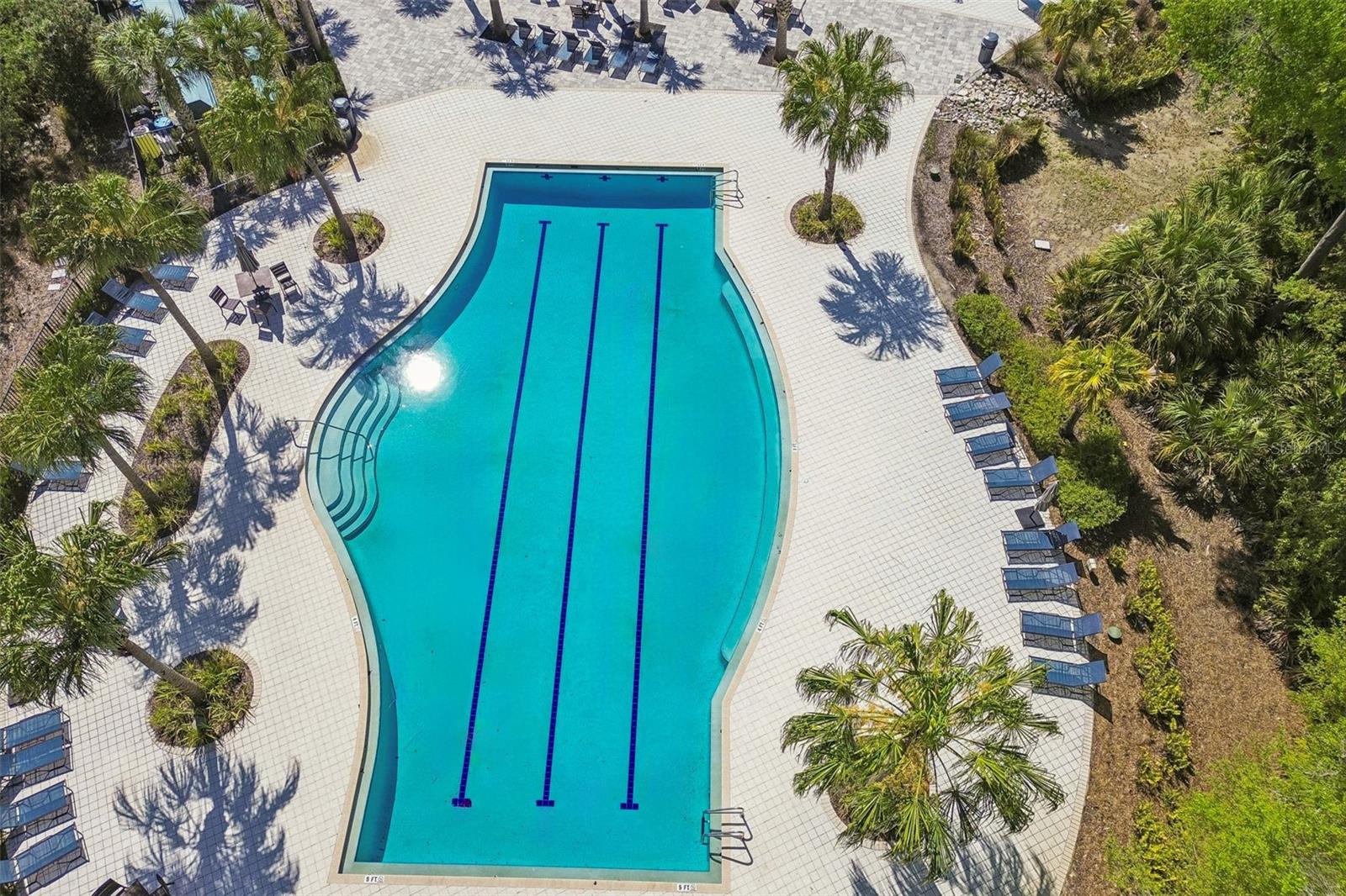 4241 AMPED WAY, LAND O LAKES, FL, 34638