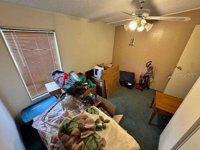 19231 NW HIGHWAY 335, WILLISTON, FL, 32696