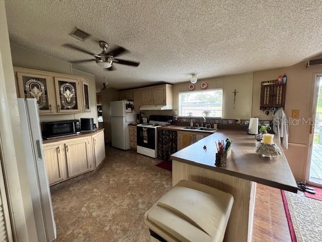 19231 NW HIGHWAY 335, WILLISTON, FL, 32696