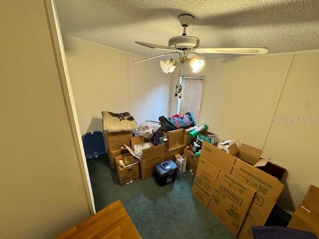 19231 NW HIGHWAY 335, WILLISTON, FL, 32696