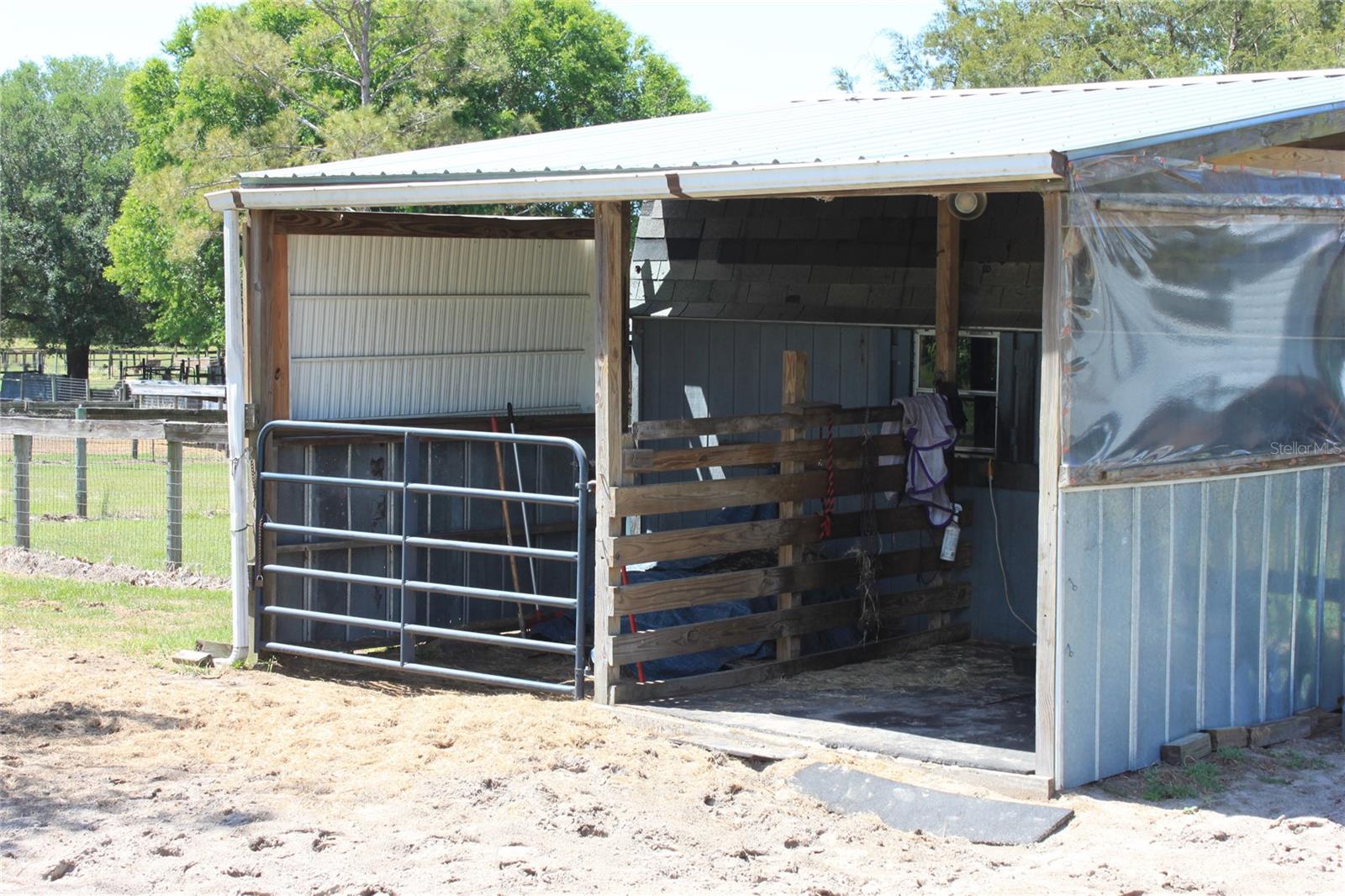 19231 NW HIGHWAY 335, WILLISTON, FL, 32696