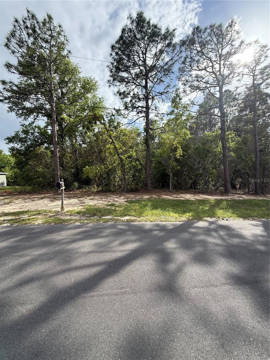 00 BAHIA COURT TRACK, OCALA, FL, 34472