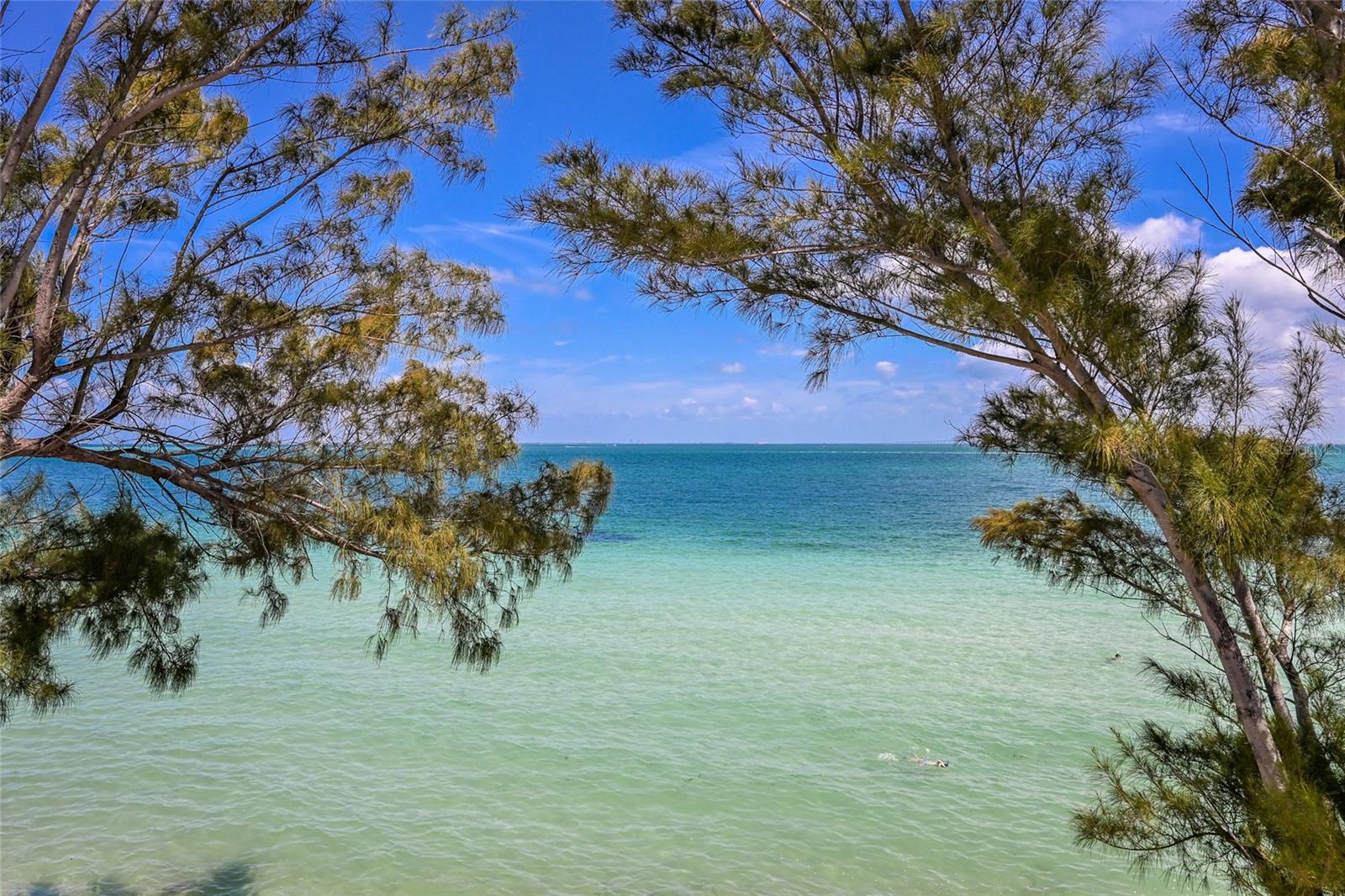 889 N SHORE DR, ANNA MARIA, FL, 34216