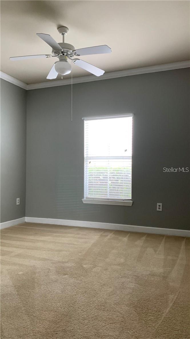 18302 BRIDLE CLUB DR #18302, TAMPA, FL, 33647