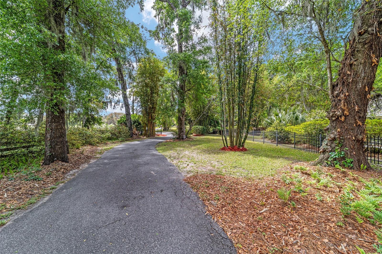 4659 SE 17TH ST, OCALA, FL, 34471